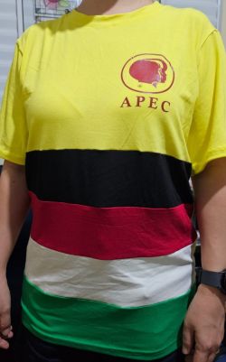 LSP- Camiseta Tamanho G